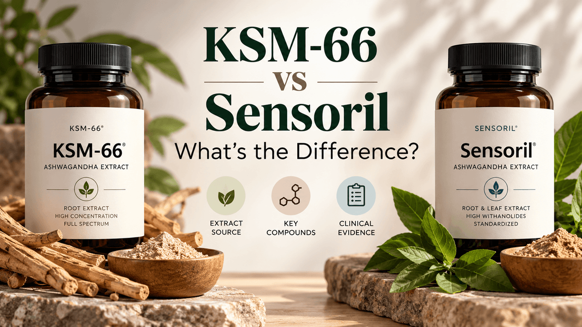 KSM-66 vs Sensoril Ashwagandha: Which Extract Is Right for You?